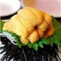 1 Piece Sea Urchin